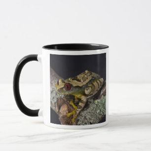 Mug Rainette à yeux rouges d'Afrique, Leptopelis
