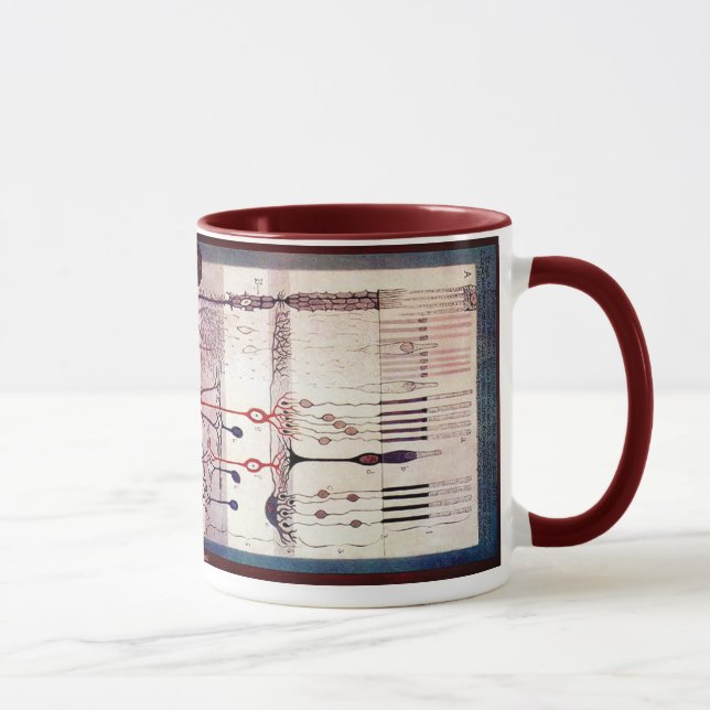 Mug Ramon Y Cajal (Droite)