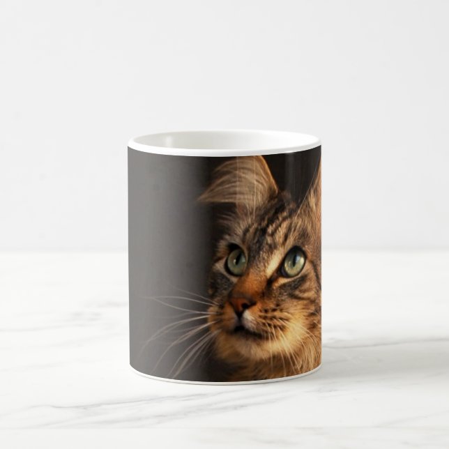 Mug Ramsey sérieux (Centre)
