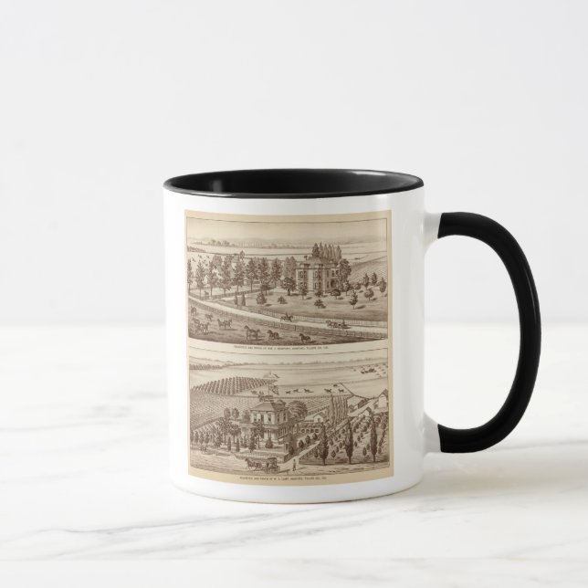 Mug Ranches, Hanford, Cal (Droite)