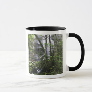 Mug Randonneur admire Falls Branch Falls