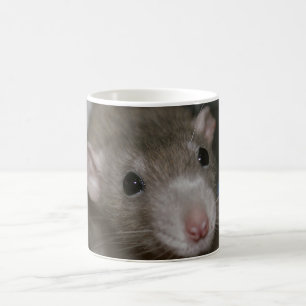 Mug Rat curieux