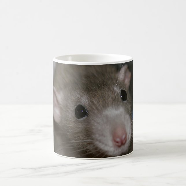 Mug Rat curieux (Centre)