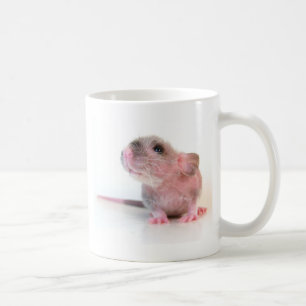 Mug Rat de Gobi de bébé