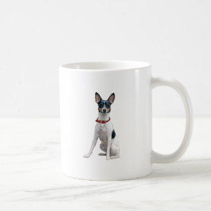 Mug Rat Terrier (A)