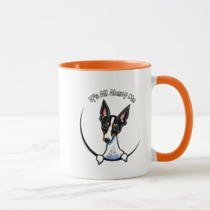 Mug Rat terrier tricolore IAAM