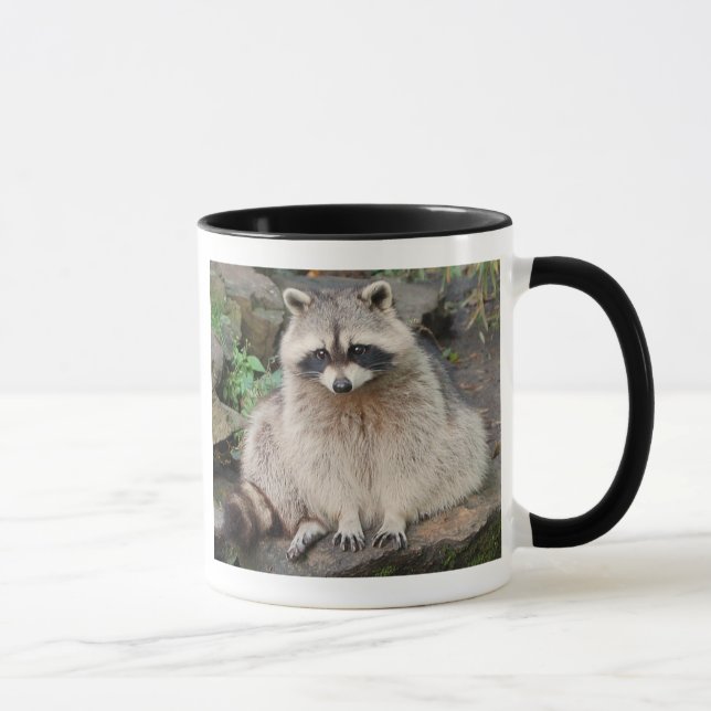 Mug Raton laveur (Droite)