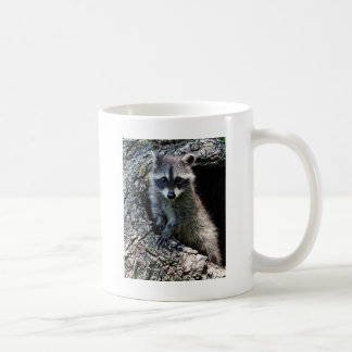 Mug Raton laveur dans le repaire