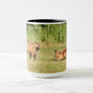 Mug Red Fox Kits Jouer