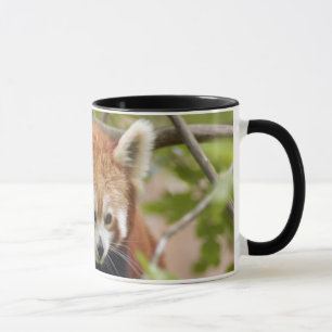 Mug red-panda-023