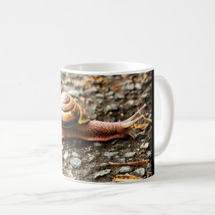 Mug Red Snail on the Ground