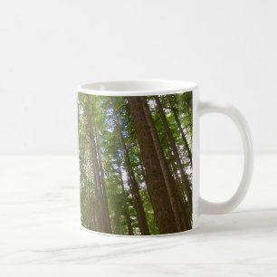 Mug Regard vers la forêt ancienne