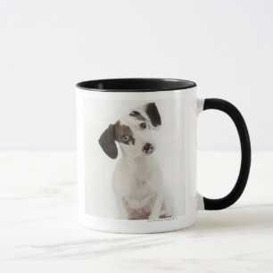 Mug Regarder femelle de chiot de teckel/chiwawa