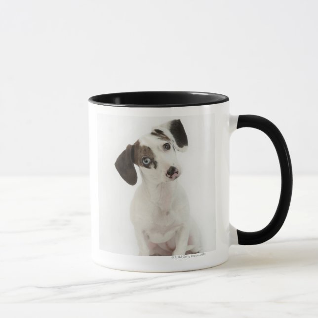 Mug Regarder femelle de chiot de teckel/chiwawa (Droite)