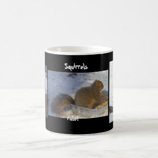 Mug Règle d'écureuils !