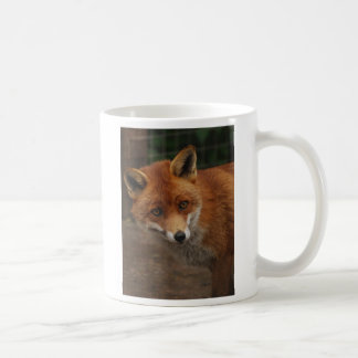 Mug renard