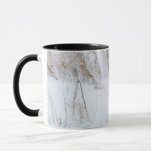 Mug Renard arctique