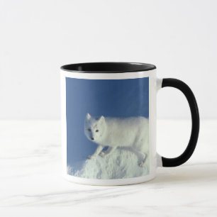 Mug Renard arctique (Alopex lagopus) Un renard arctiqu