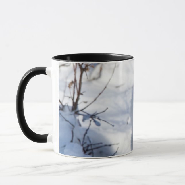 Mug Renard arctique, zone de gestion de la faune de Ch (Gauche)