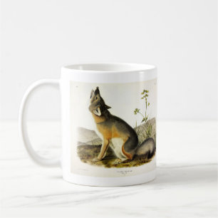 Mug Renard rapide (Vulpes Velox) des Quadrupeds d'Audu