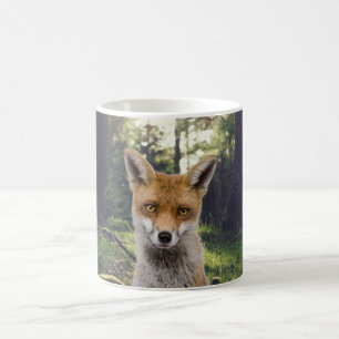 Mug Renard rouge en forêt