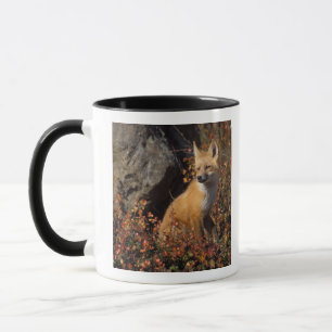 Mug renard rouge, Vulpes vulpes