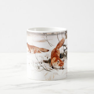 Mug renards dans la neige