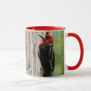 Mug Rencontre avec un suceur à poitrine rouge