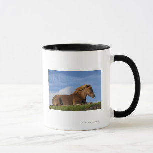 Mug Repos islandais et ciel de cheval