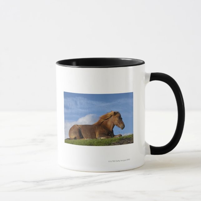Mug Repos islandais et ciel de cheval (Droite)