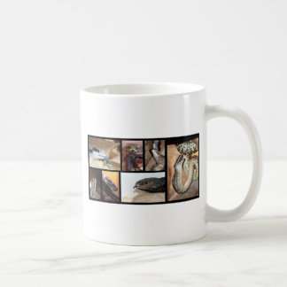 Mug Reptiles de Magies