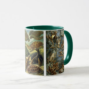 Mug Reptiles et Amphibiens Anciens par Ernst Haeckel