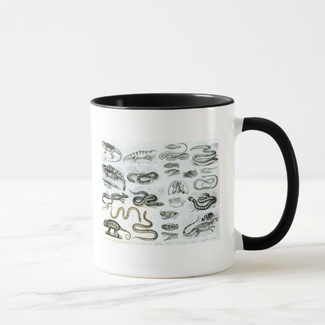 Mug Reptiles, serpents et lézards (Droite)