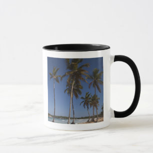 Mug République dominicaine, région de Punta Cana, El
