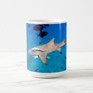 Mug Requin