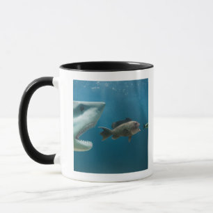 Mug Requin chassant le bar de mer chassant le jeune