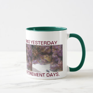MUG RETRAITE FACILE EN FLORIDE
