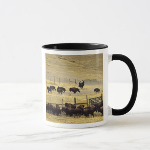 Mug Réunion du National Bison Range dans le Montana
