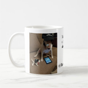Mug Rex et attaquent idem