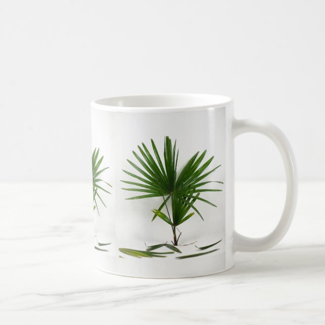 Mug Rhapis Excelsa (Palmier Dame) fraîchement cueillie (Droite)