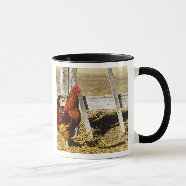 Mug Rhode Island Red Rooster (Droite)