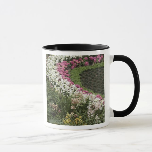 Mug Rhododendron (Rhododendron catawbiense) Lande (Droite)