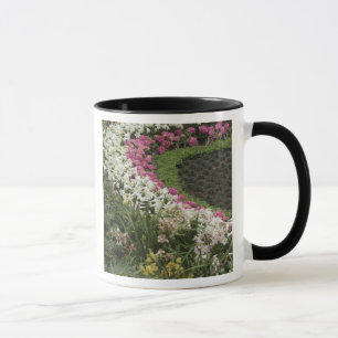 Mug Rhododendron (Rhododendron catawbiense) Santé