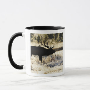 Mug Rivière de Madison, Yellowstone NP, Wyoming,