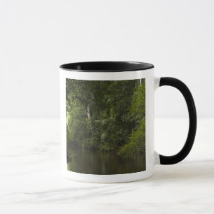 Mug Rivière Mapari, Mapari Rupununi, Guyana.