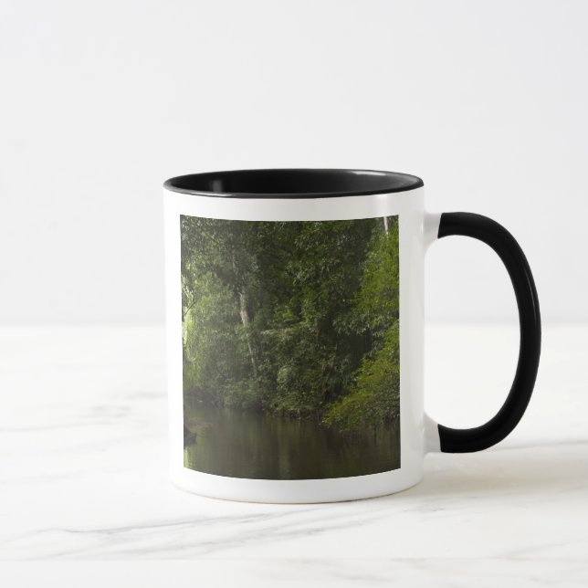 Mug Rivière Mapari, Mapari Rupununi, Guyana. (Droite)