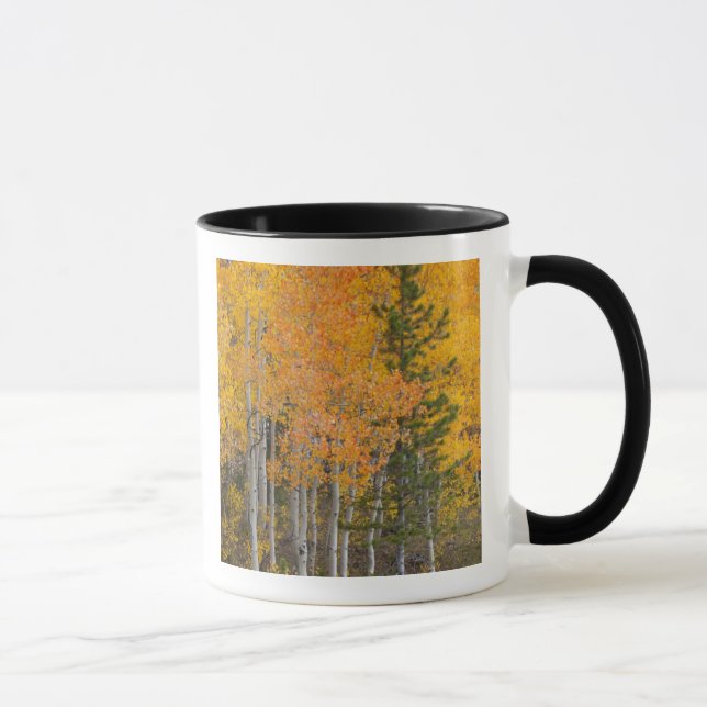 Mug Rivière Provo et trembles (Droite)
