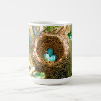 Mug Robin eggs incouvé dans un nid d'arbre de jardin