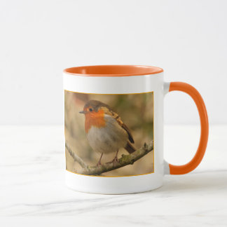 Mug Robin en soleil
