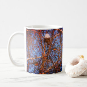Mug Robins d'hiver Faune Nature Photo